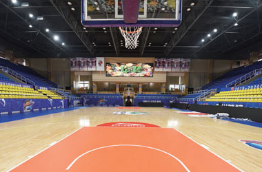 武山群众体育馆：传武文化走向全国_领先柯勒运动木地板系统