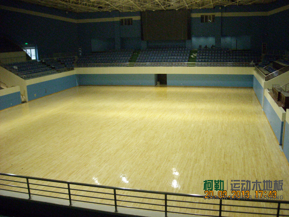 江苏省南京龙江体育馆01.jpg